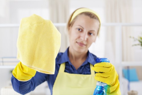 Cleaning supplies arranged for a domestic cleaning routine