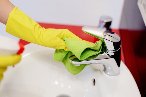 Professional oven cleaning results on racks and oven interior