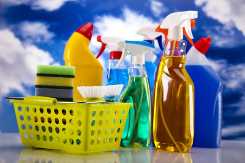 Professional carpet cleaning in a living room