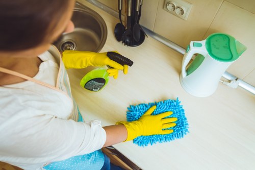 Professional deep cleaning in Wimbledon for bathrooms and surfaces