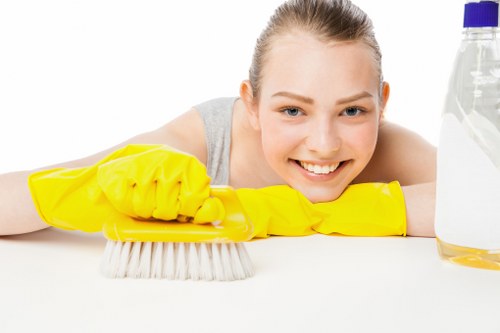 Professional cleaner performing domestic cleaning in a bedroom