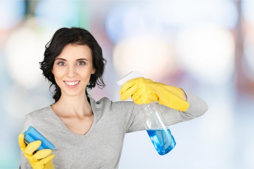 Kitchen house cleaning with organized supplies