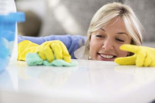 Weekly rug cleaning routine in a bright home interior