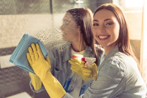 Bathroom house cleaning and sanitation routine
