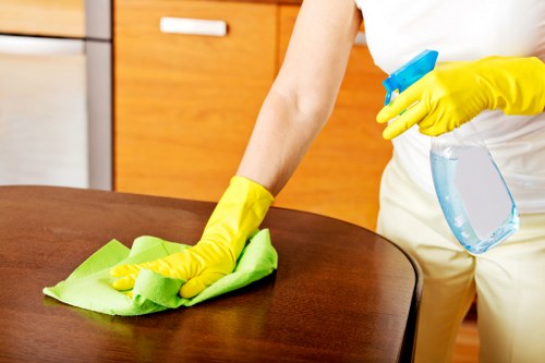 Regular cleaning supplies in a bathroom setting